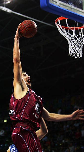 本引入替代 本引入替代